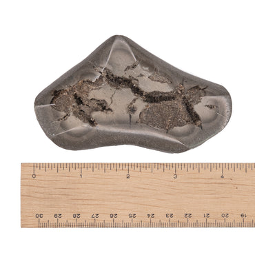 Septarian and Barite Geode