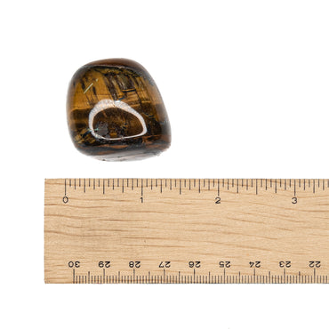 Tiger's Eye Tumble $10