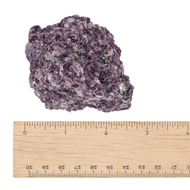 Lepidolite With Pink Tourmaline Raw $100