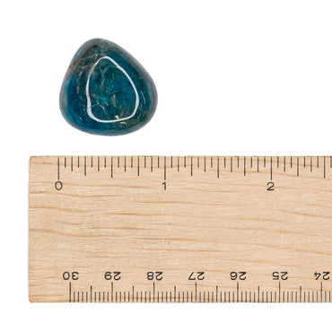 Apatite - Blue Tumble $9