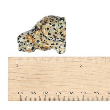 Jasper - Dalmatian Cat $22