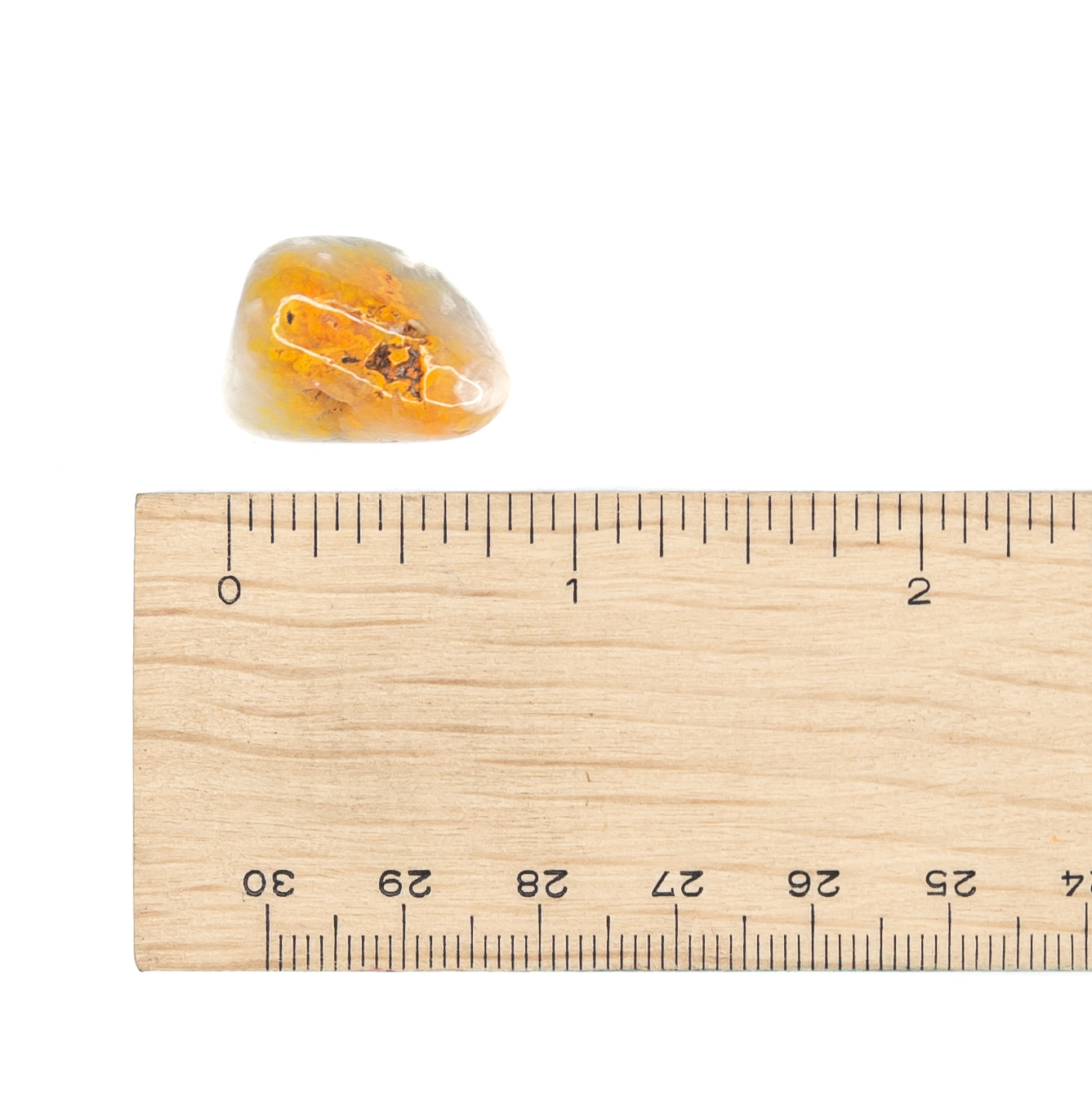 Jasper - Bumblebee Tumble $12