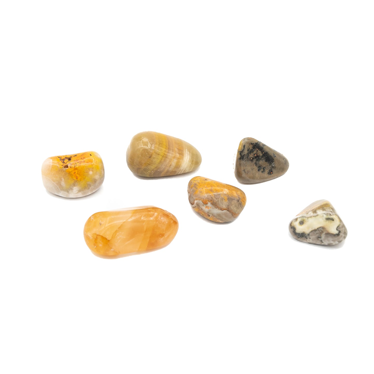 Jasper - Bumblebee Tumble $12