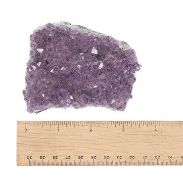 Amethyst Cluster $50