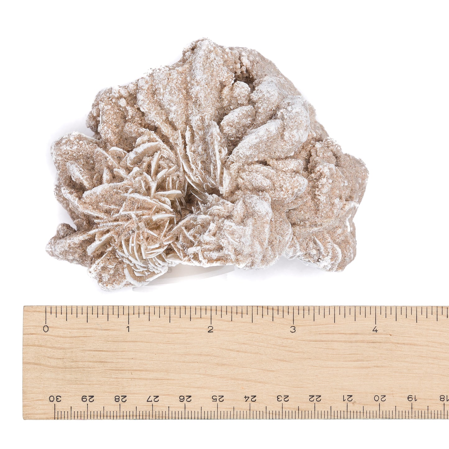 Desert Rose $45