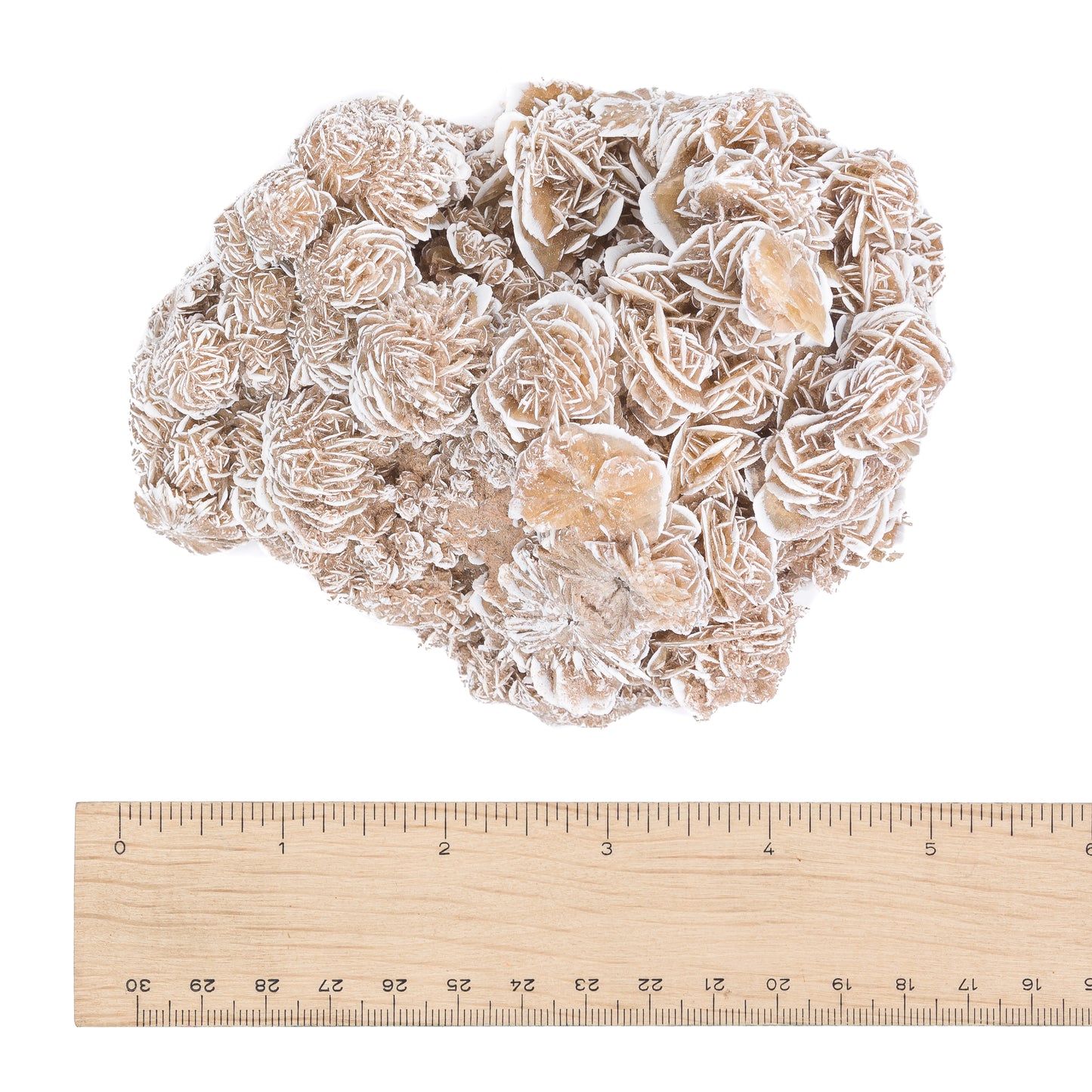 Desert Rose $150