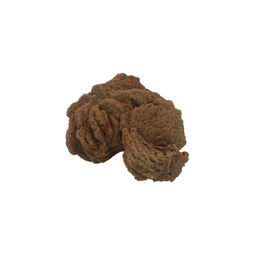 Stromatolite - Gift Wrapped $80