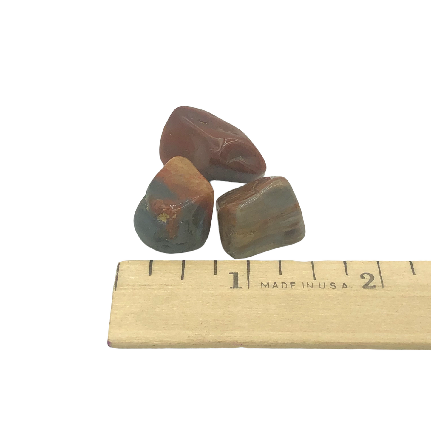 Petrified Wood Tumble $2