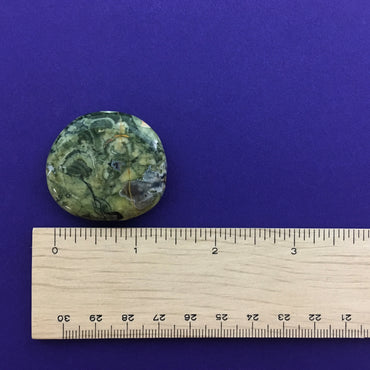 Rainforest Rhyolite Crystal Palm Stone Happy Soul Online