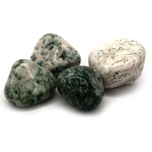 Tree Agate Tumbled Crystal Happy Soul Online