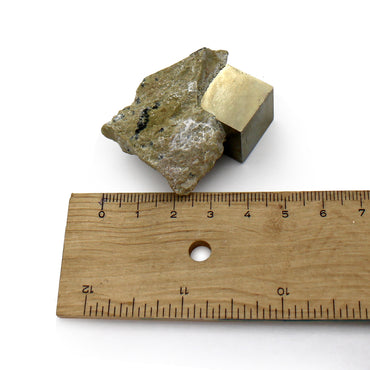 Pyrite Cube in Matrix $40