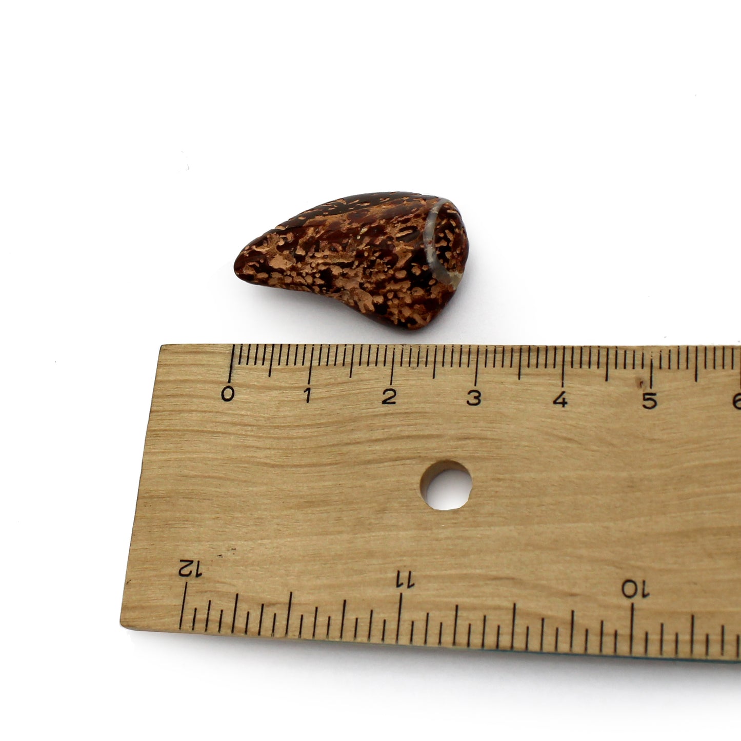 Jasper - Starburst Tumble $7