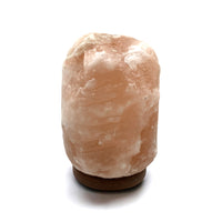 Lamp - Himalayan Salt $36