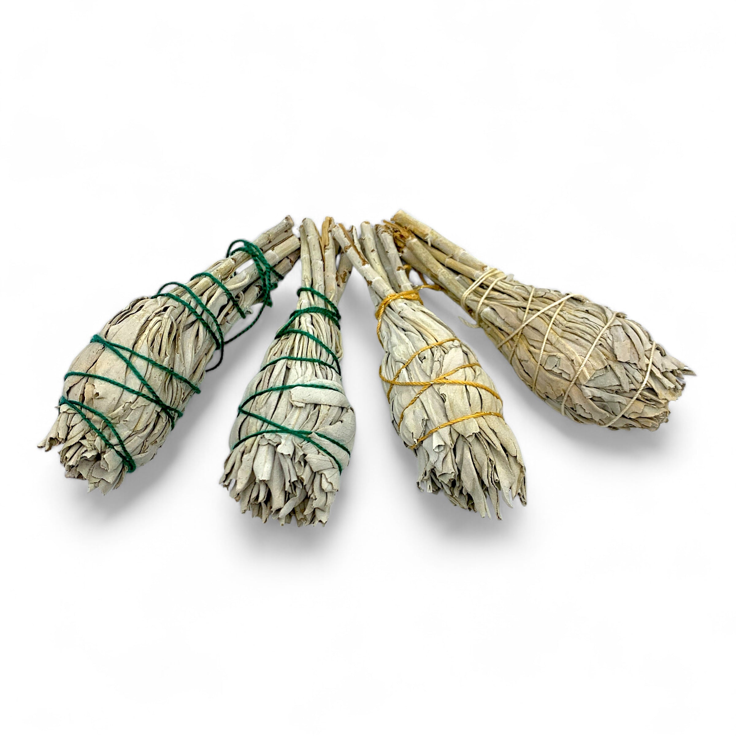 White Sage 4" Bulb