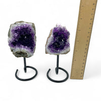 Amethyst Cluster on Stand $100