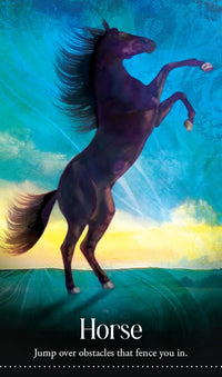 Wild Dreams Animal Oracle Deck