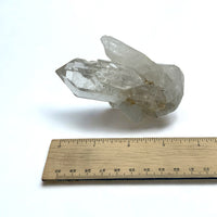 Clear Quartz Cluster JW $125