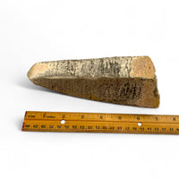 Smoky Quartz Point $100