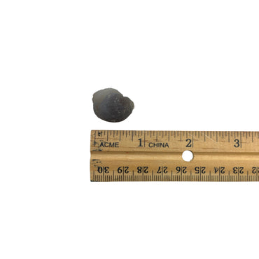 Chalcedony Nodule Natural $5 SALE $1