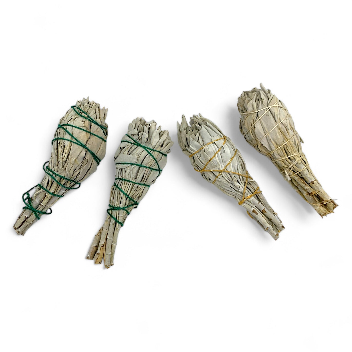 White Sage 4" Bulb