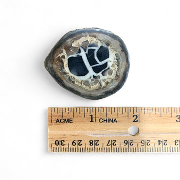 Septarian Nodule JW $20