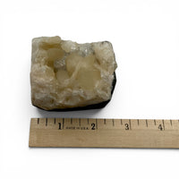 Apophyllite on Stilbite $55