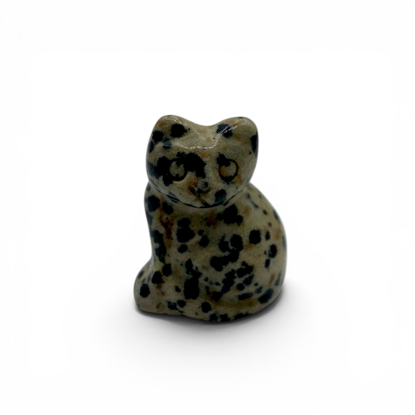 Jasper - Dalmatian Cat $25