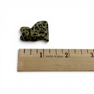 Jasper - Dalmatian Cat $25