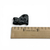 Obsidian - Snowflake Cat $25