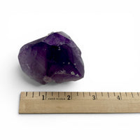 Amethyst - Polished Top Generator $50