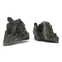 Smoky Quartz Cluster $75
