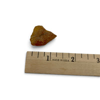 Amber - Raw $25