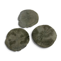 Pyrite Sun Disk $120