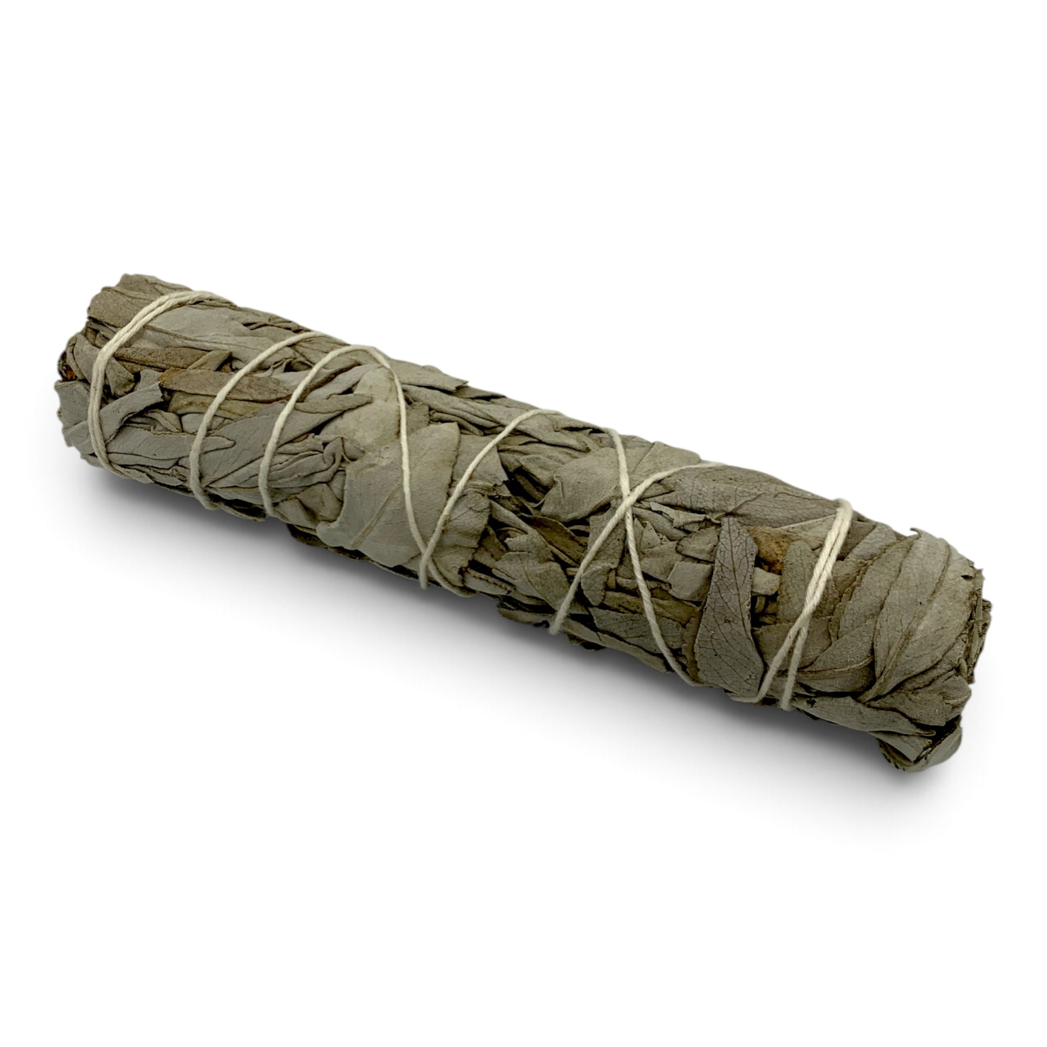 White Sage Bundle 6" $15