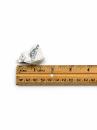 Howlite - Raw Chunk $4