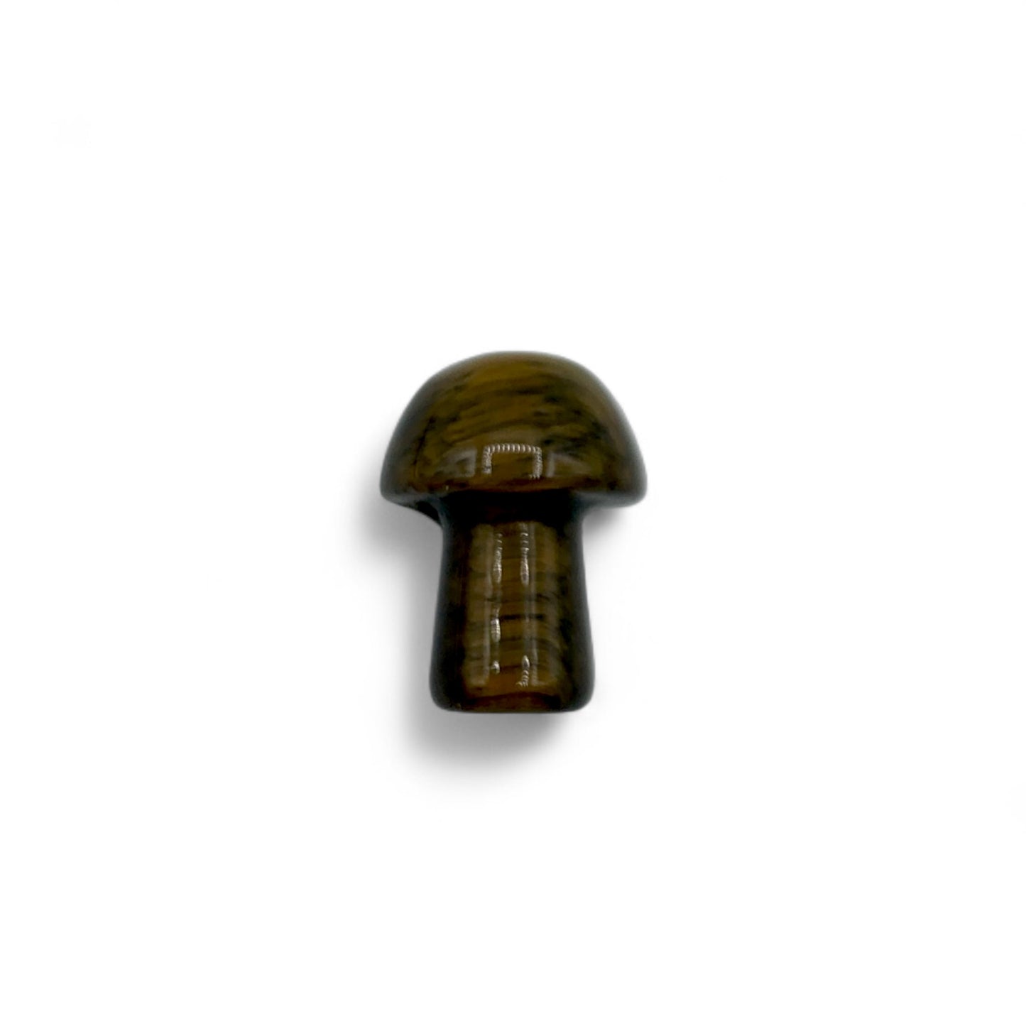 Tiger's Eye Mushroom $7
