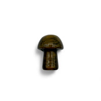Tiger's Eye Mushroom $7