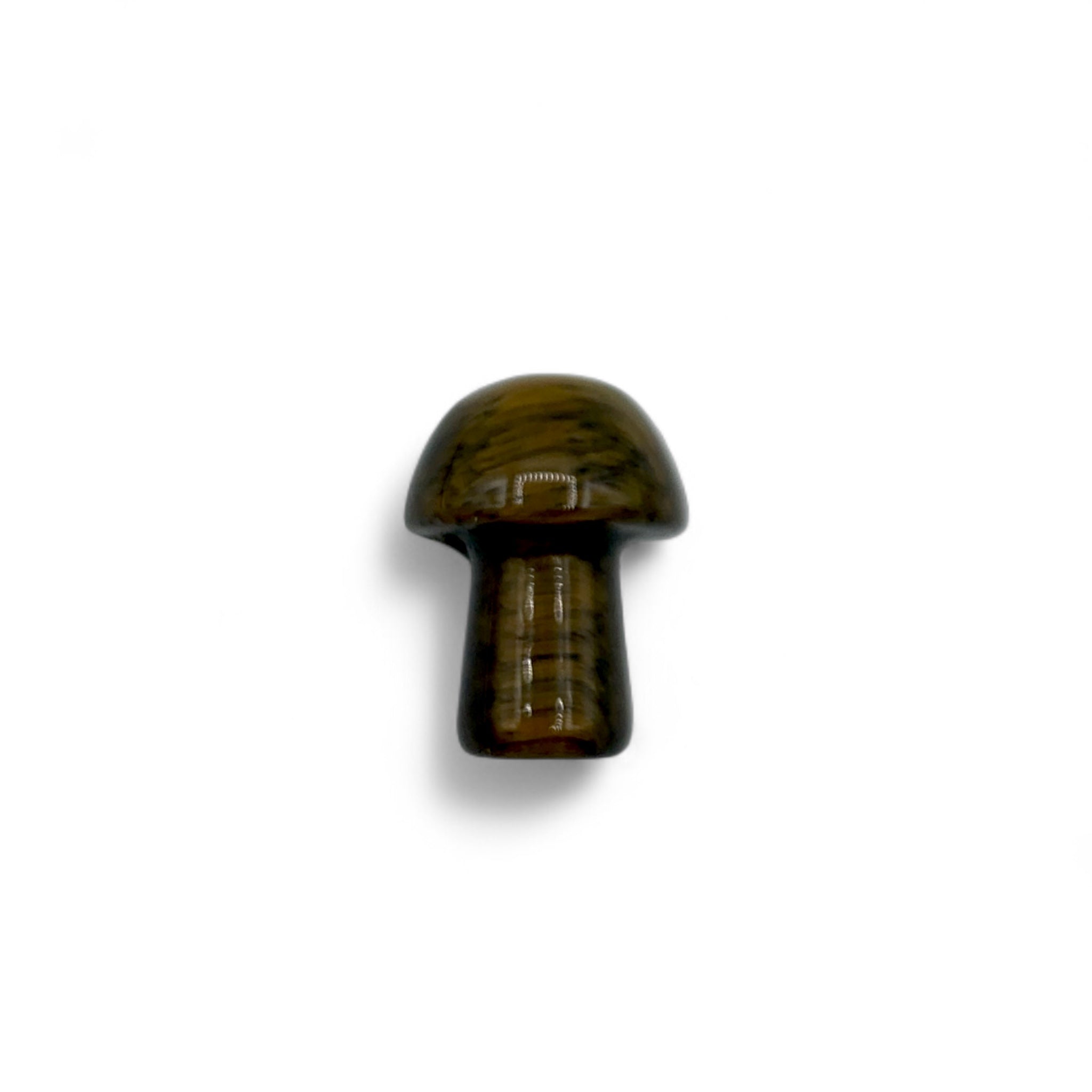 Tiger's Eye Mushroom $7
