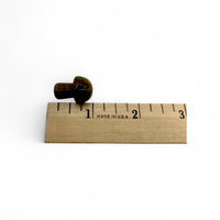 Tiger's Eye Mushroom $7