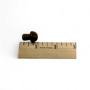 Tiger's Eye Mushroom $7