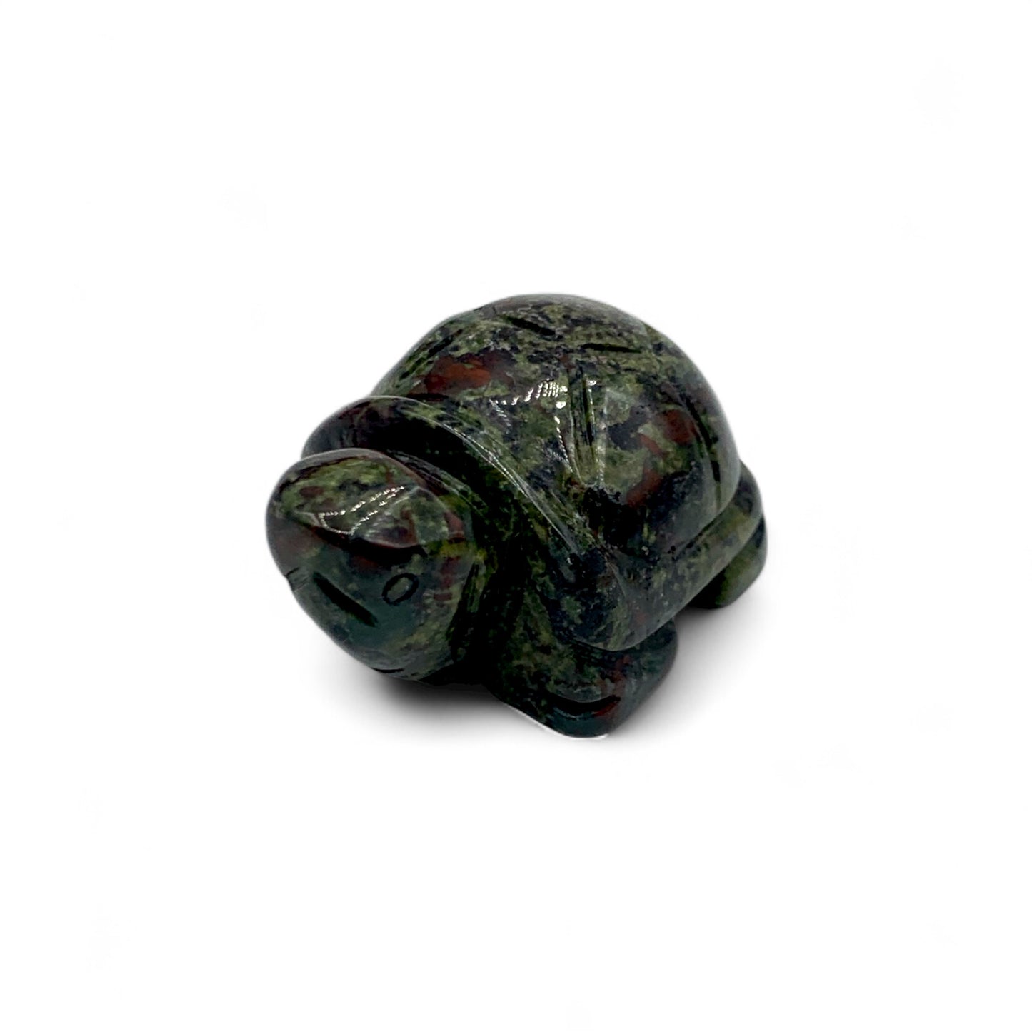 Dragon's Blood Turtle $30