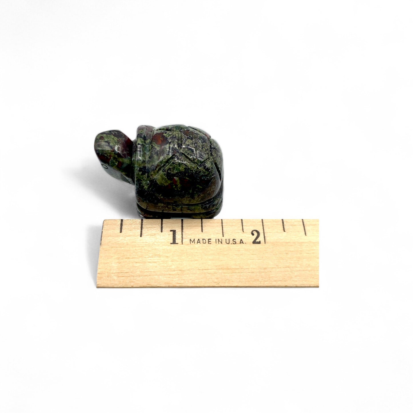 Dragon's Blood Turtle $30