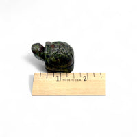 Dragon's Blood Turtle $30