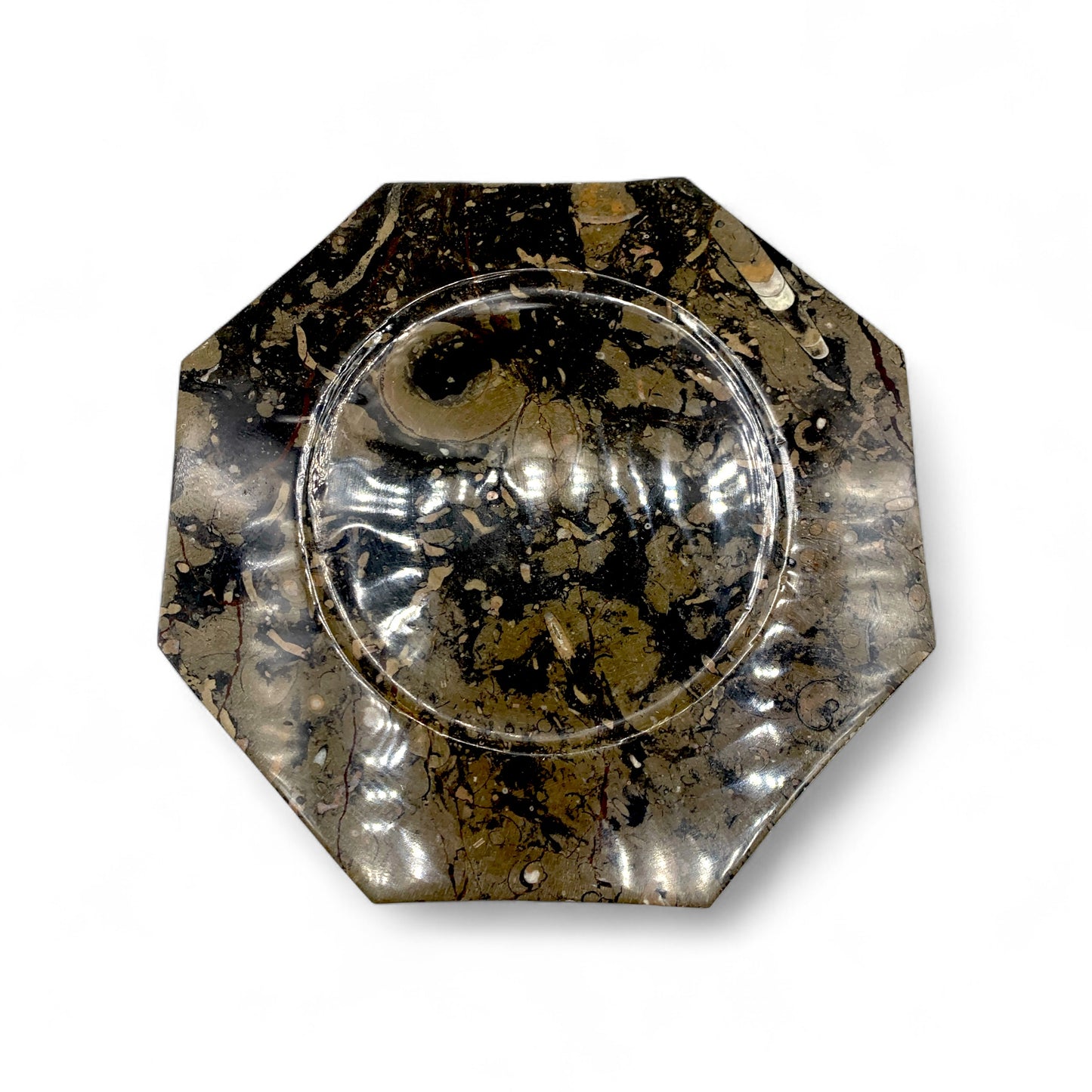 Fossil Stone - Plate $180