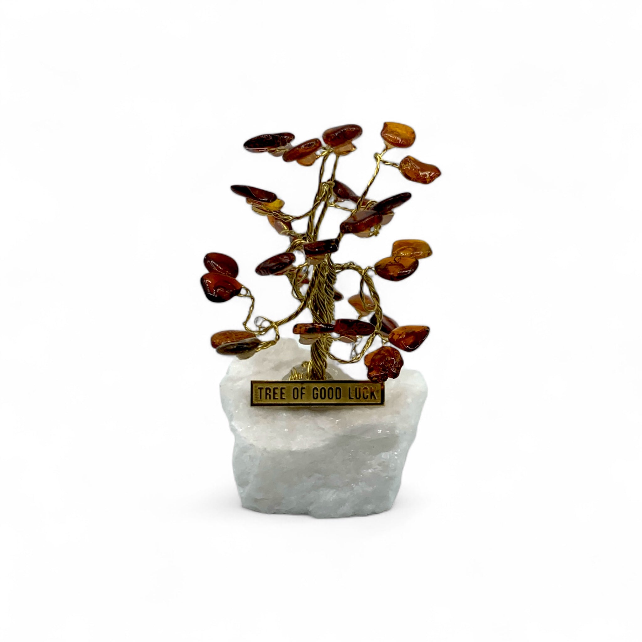 Amber - Tree $50