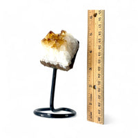 Citrine - Cluster on Stand $75