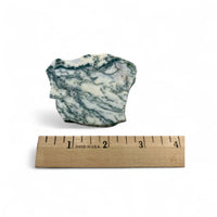 Agate - Tree Slice $18