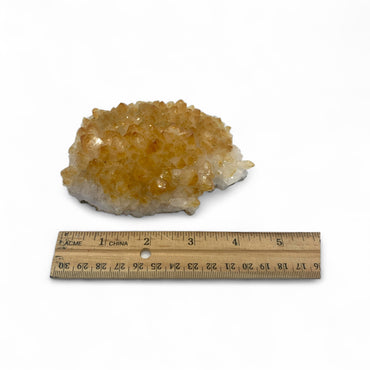 Citrine Cluster $70
