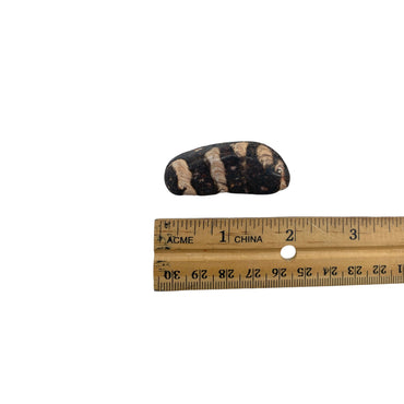 Jasper - Mary Ellen Spotted Tumble $15