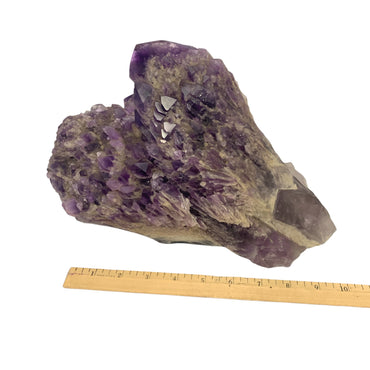 Amethyst Giant Crystal $1000
